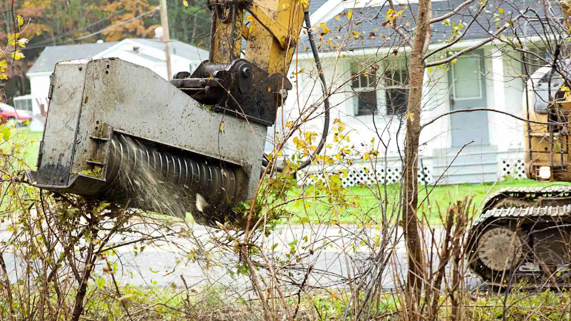 brush removal crew clearing overgrown vegetation on a Shreveport LA property