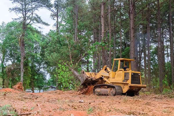 professional land clearing in Shreveport LA with heavy equipment and expert operators