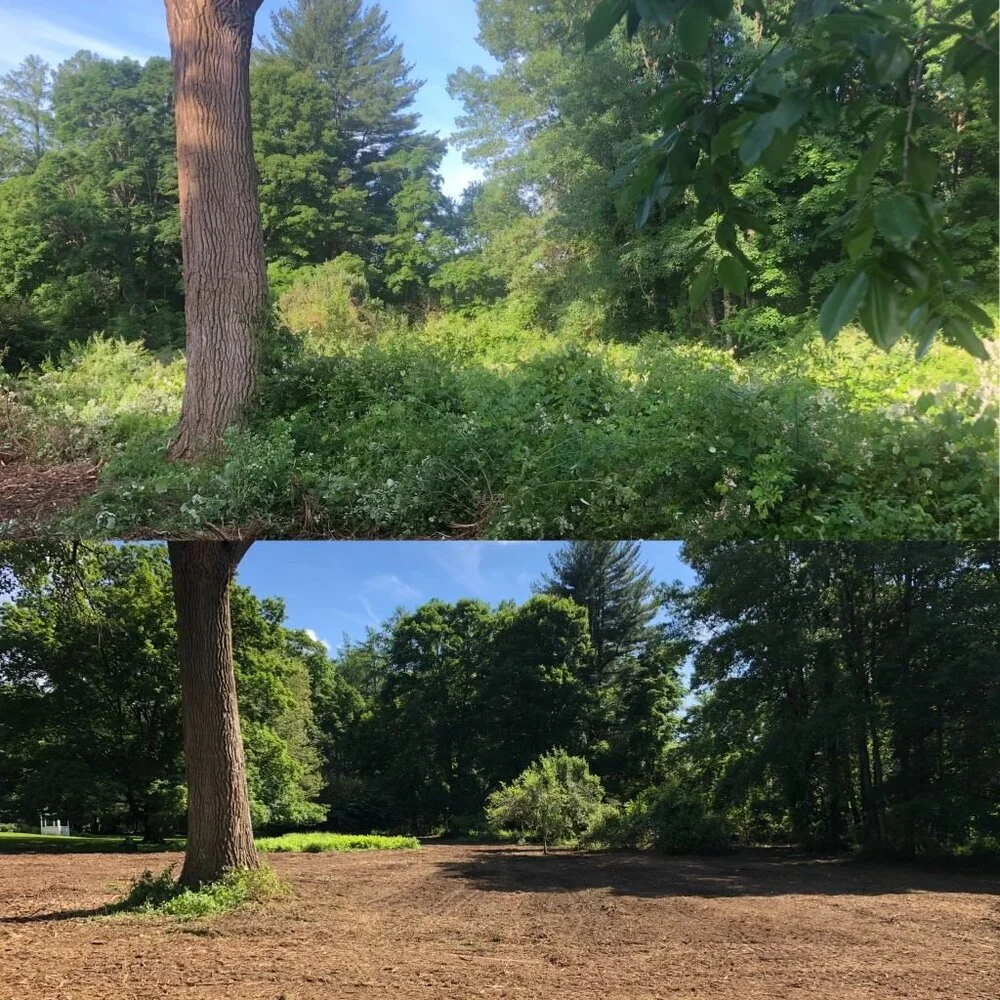land works land clearing shreveport before and after photo