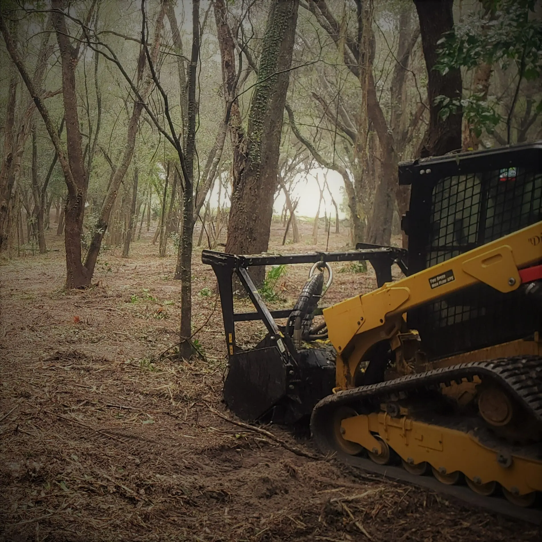 storm debris cleanup and municipal land restoration in shreveport la