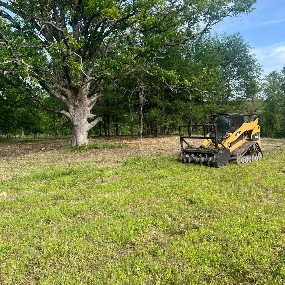 right of way clearing on municipal property in shreveport la
