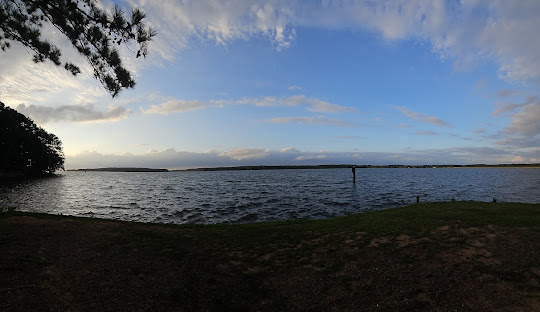 Forestry Mulching – Claiborne Parish, LA