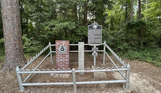 Forestry Mulching – Panola County, TX