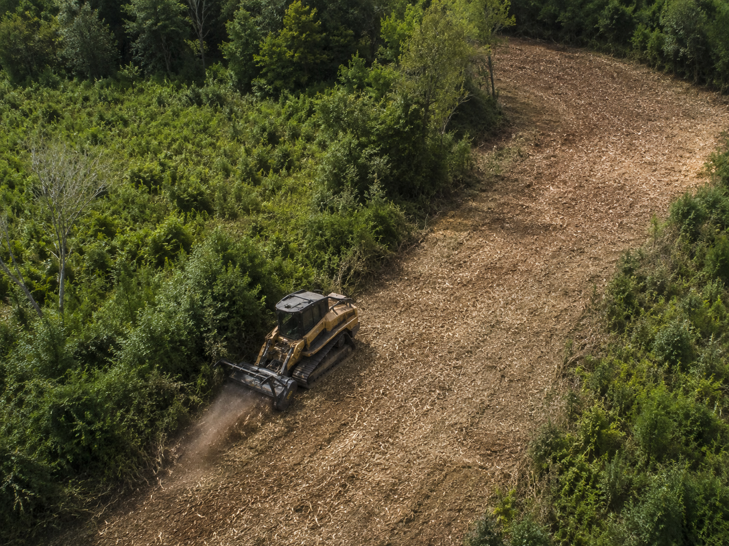 Forestry mulcher clearing thick brush along a rural fence line before property improvements