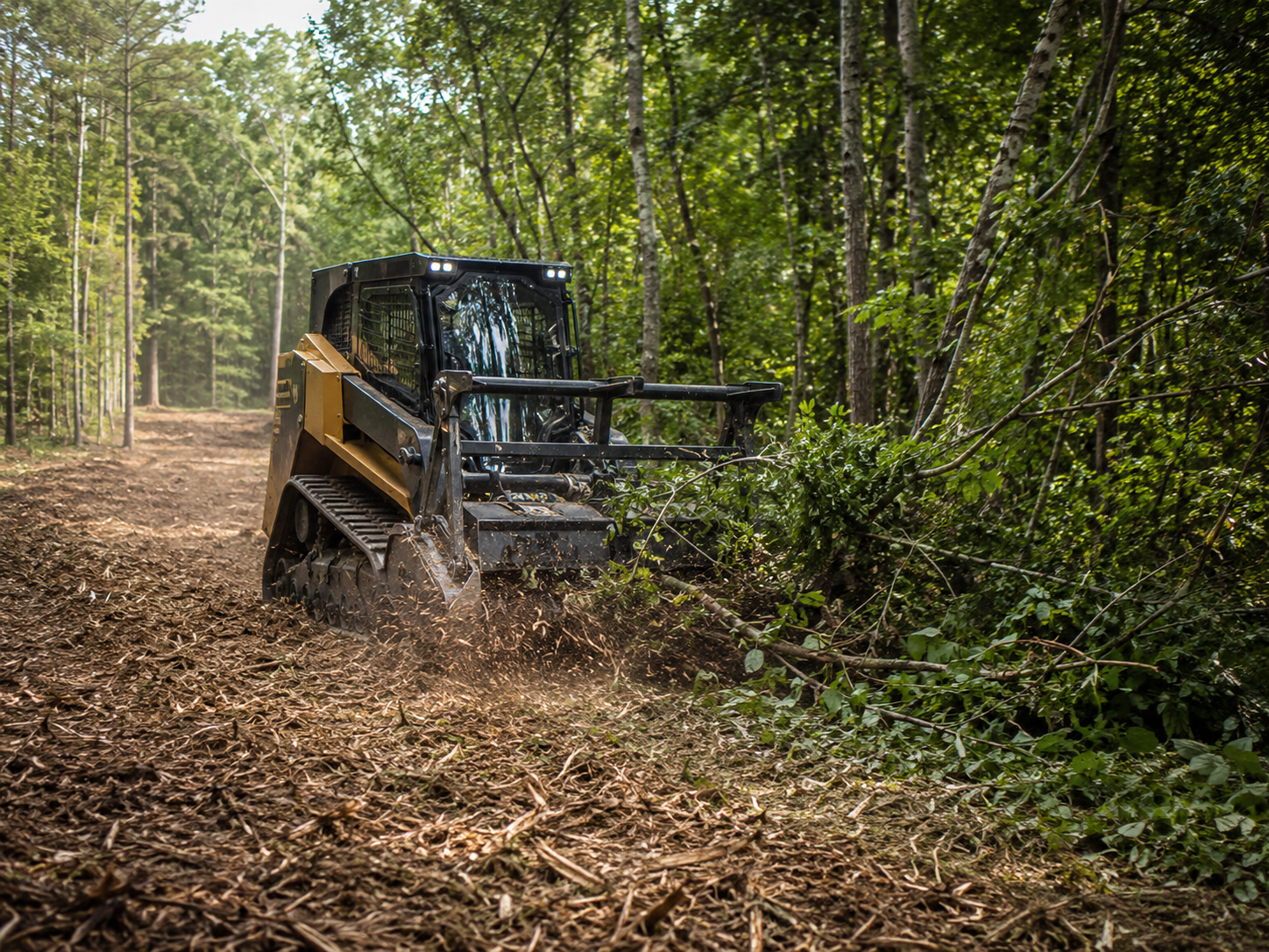 Experienced operator using mulching equipment to restore access across heavily overgrown land